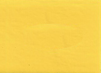 2002  Ford Zinc Yellow